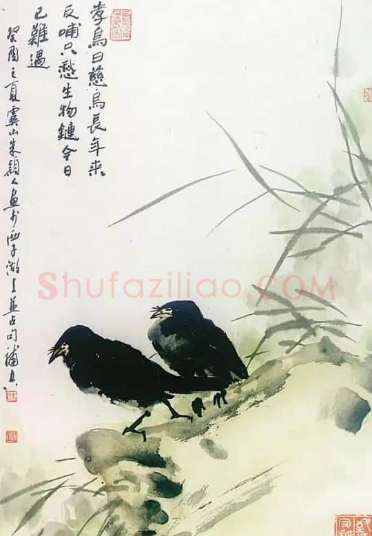 朱颖人·慈鸟