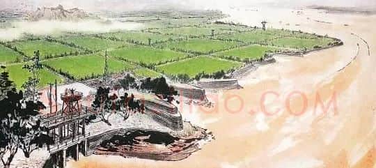 于太昌·黄河稻田