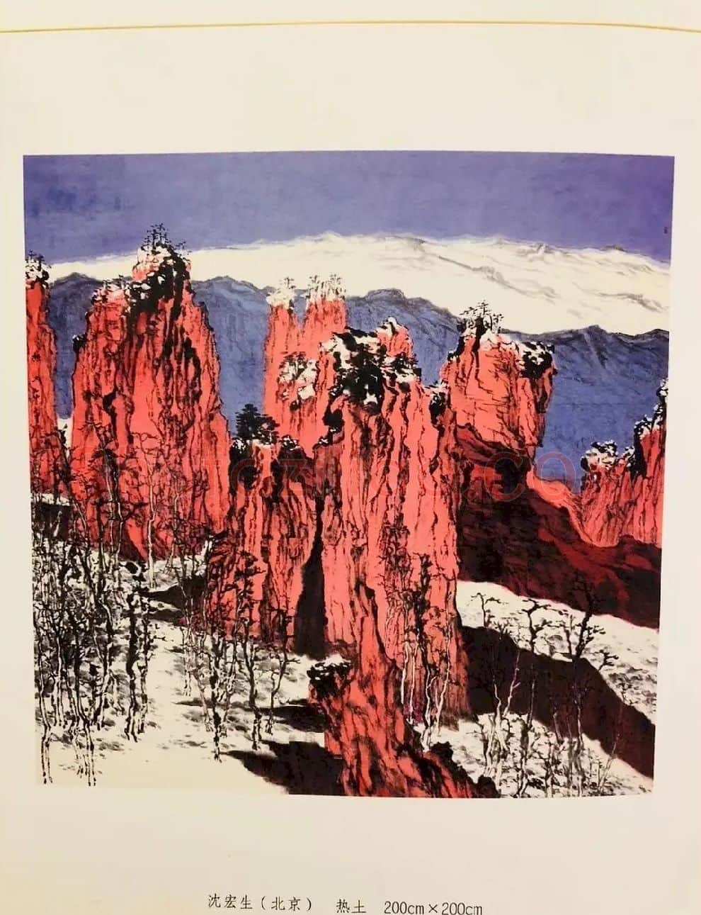 沈胄·热土