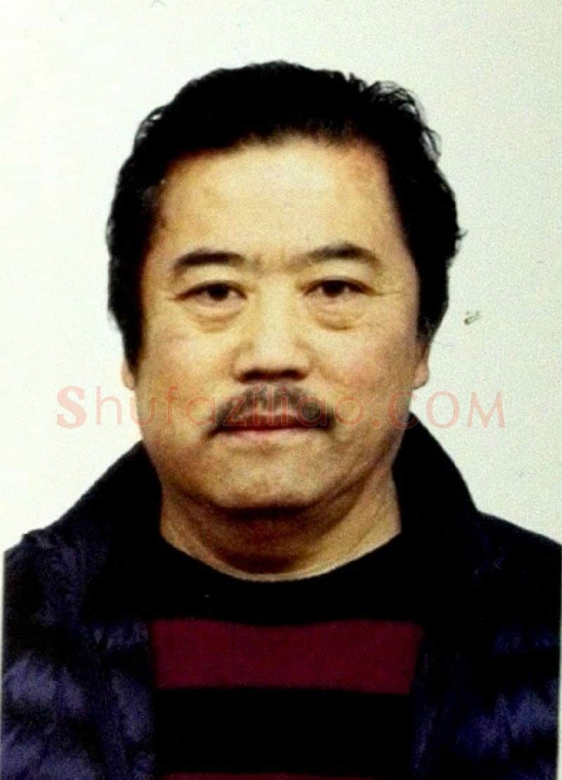 杜石·画像·照片