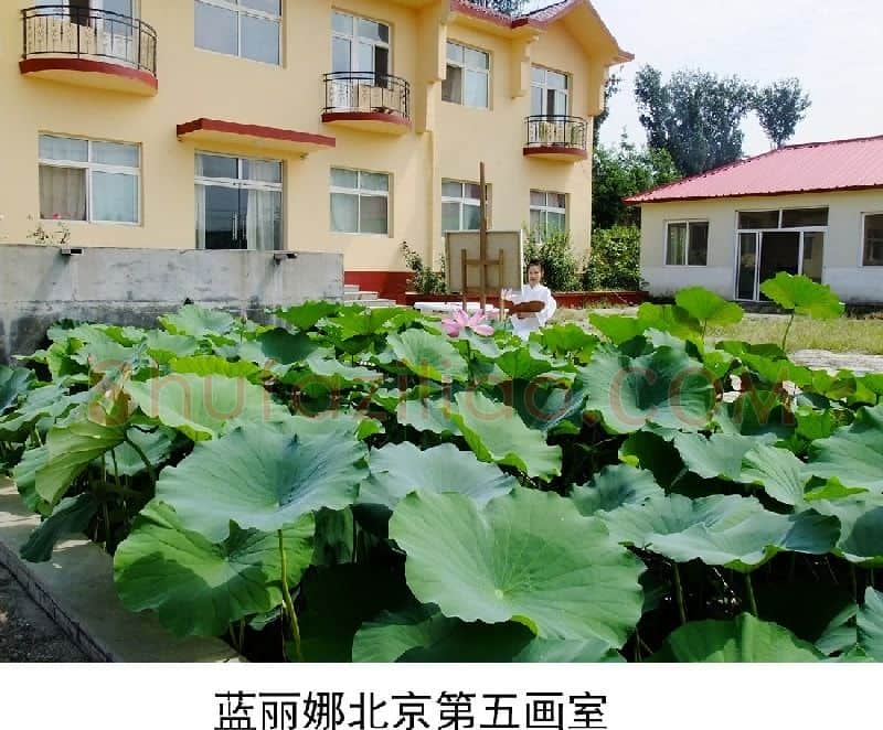 蓝丽娜·蓝丽娜第五画室