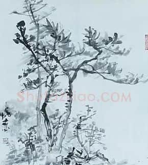 张成来·林趣