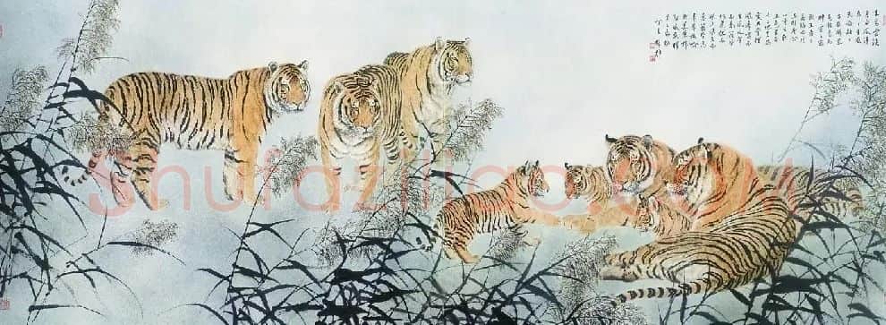 方楚雄·群虎