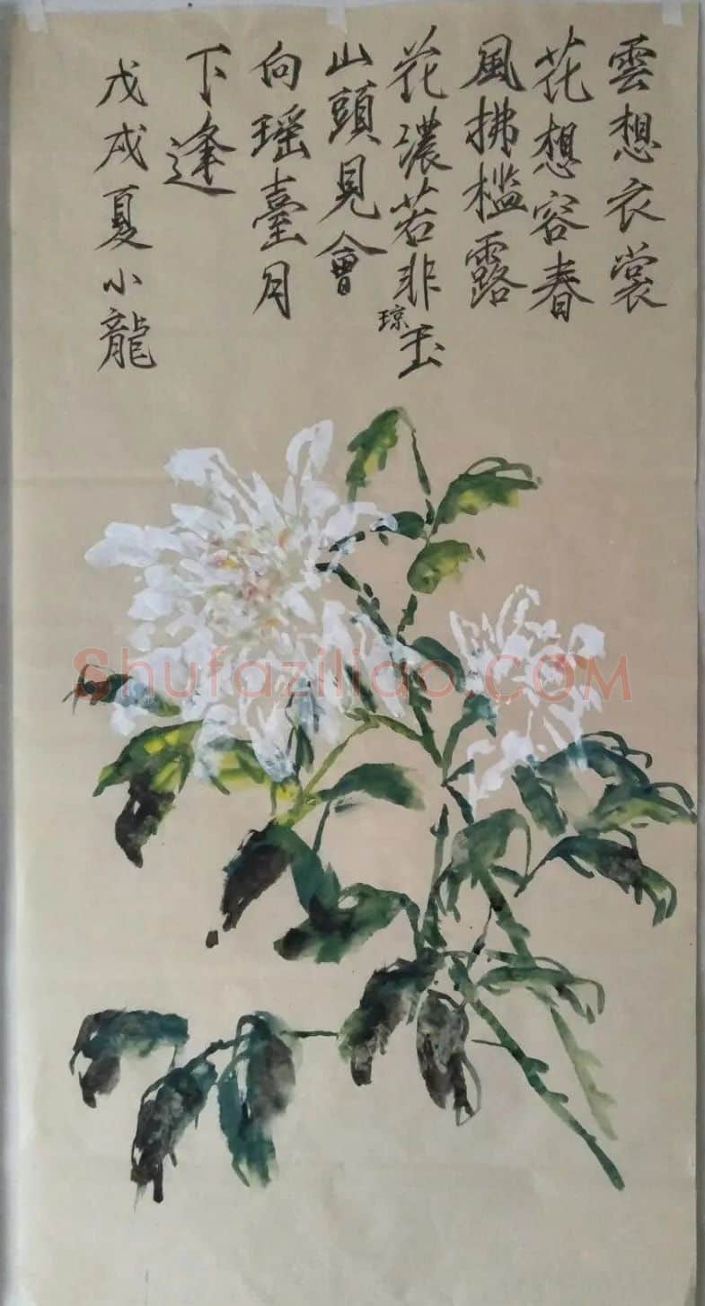 李小龙·作品