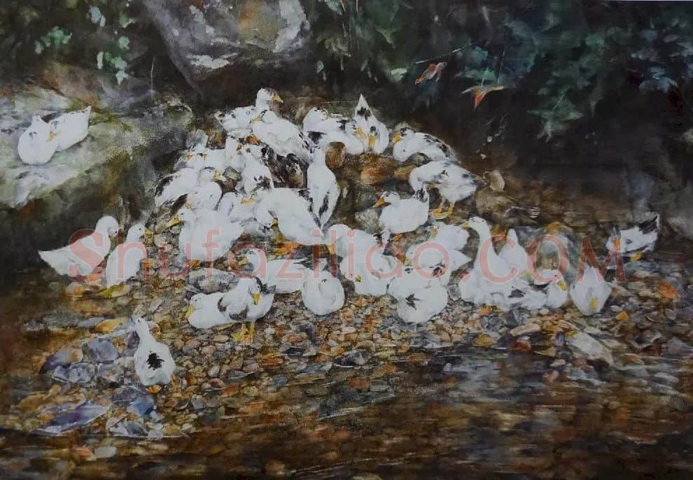 吴黔红·鸭群