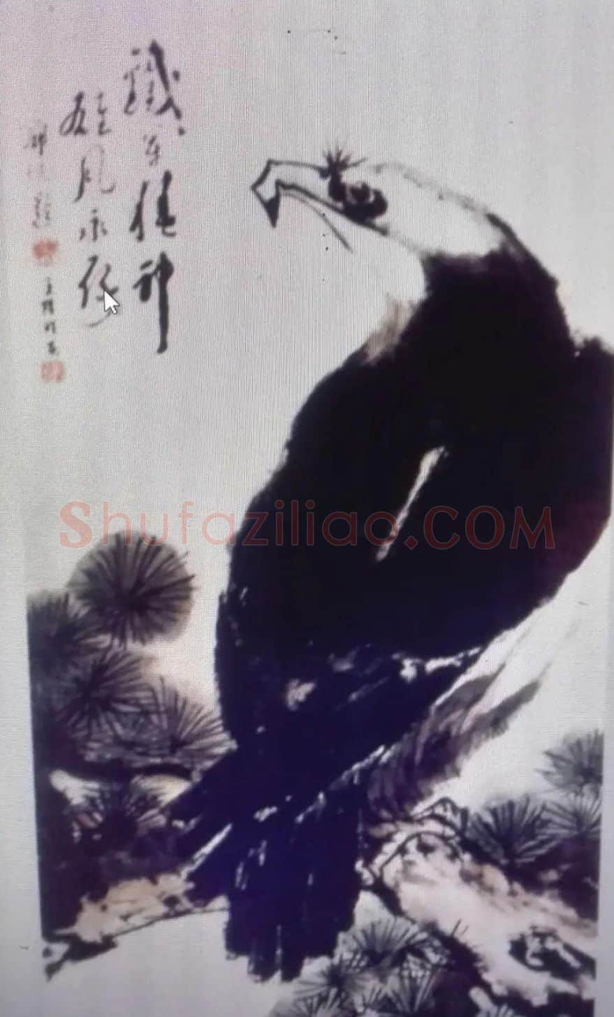 王跃胜·王跃胜