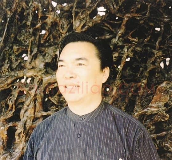 王晓峰·画像·照片