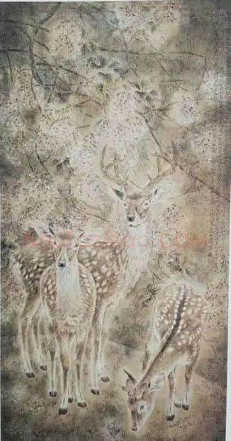 葛利彬·瑞鹿桐花
