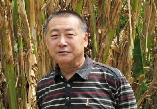 张志平·画像·照片