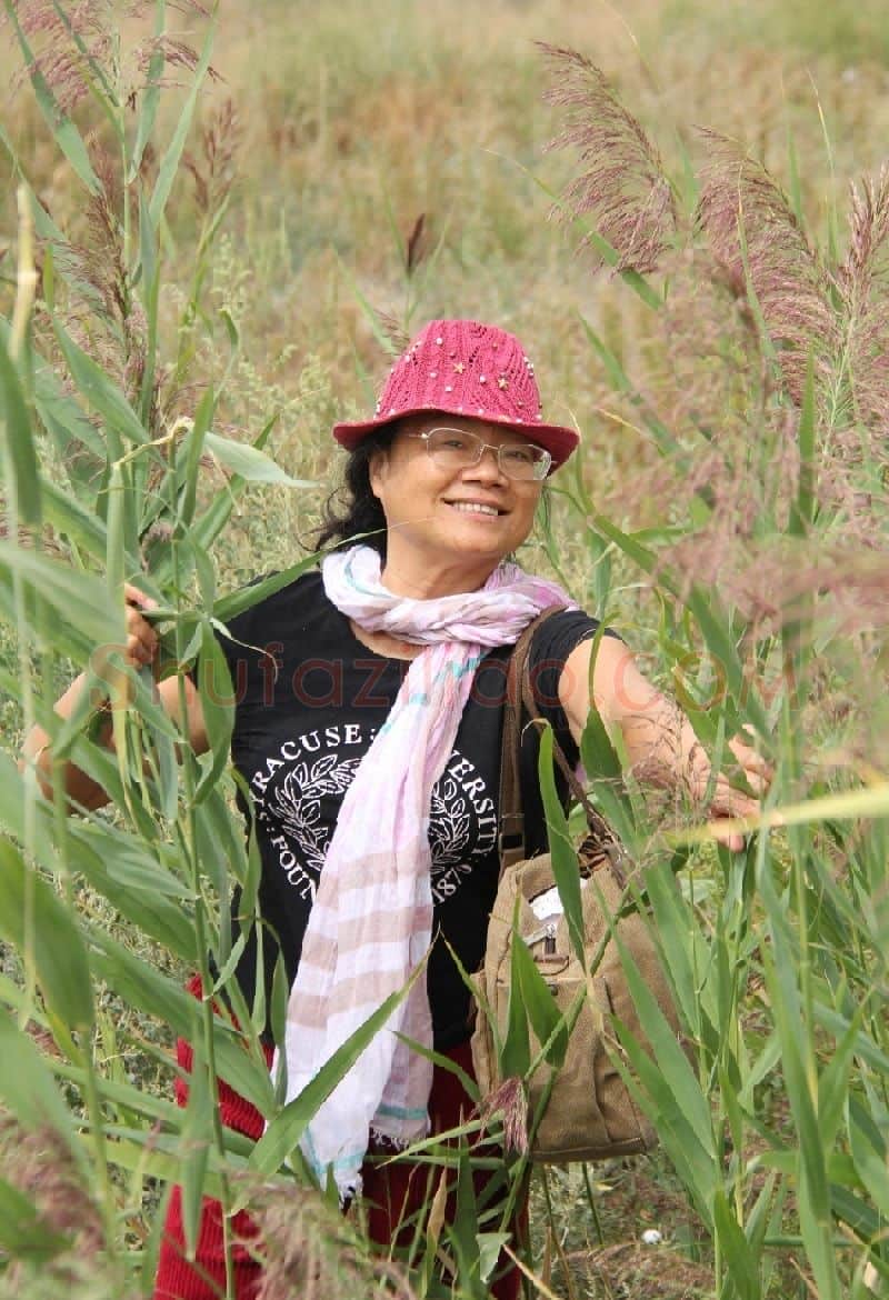杨晓康·画家