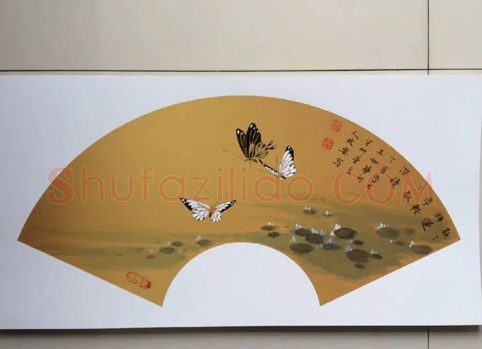 杨政委·蝴蝶