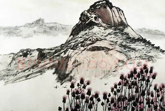 张鹤云·大渔岛山花
