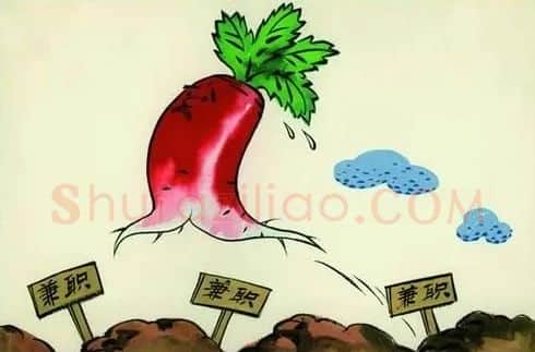 王复羊·一个萝卜几个坑