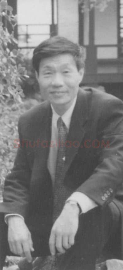 当代书法家沈培方画像简介,沈培方书法作品图片