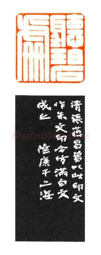 当代篆刻家(陆康)人物介绍及篆刻作品欣赏