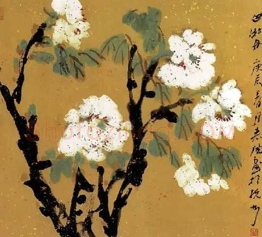徐君陶·白牡丹