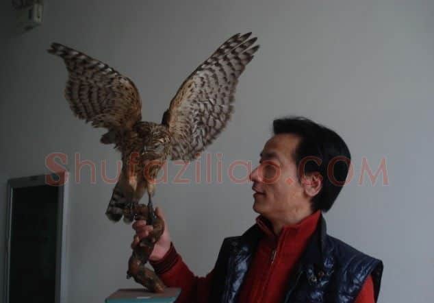 晋鹰·画像·照片