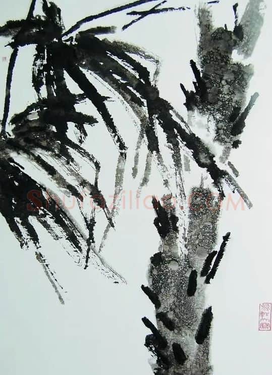 杨象宪·棕榈