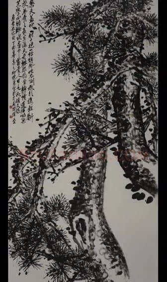 张晓东·碗底风雨生苍翠