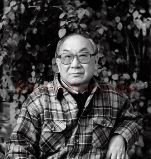 宋文治·swz