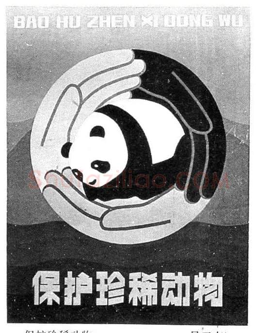 吴卫东·保护珍稀动物