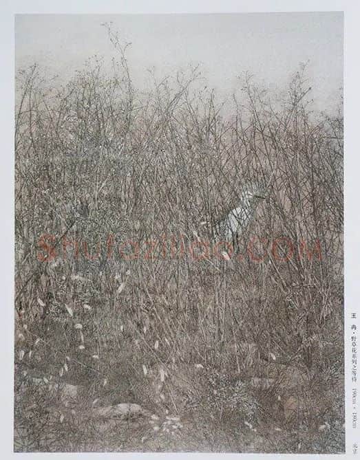 王冉·野草花系列之等待