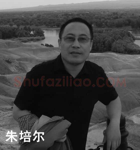 当代篆刻家(朱培尔)人物介绍及篆刻作品欣赏