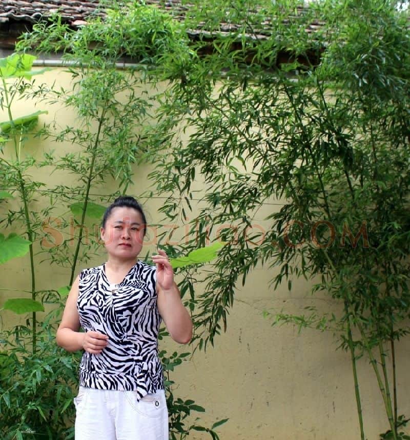 李水云·画像·照片