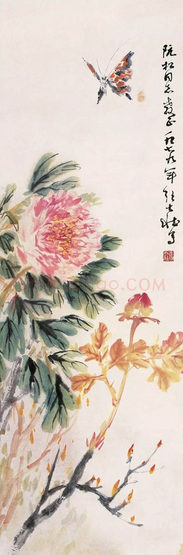 张大壮·作品