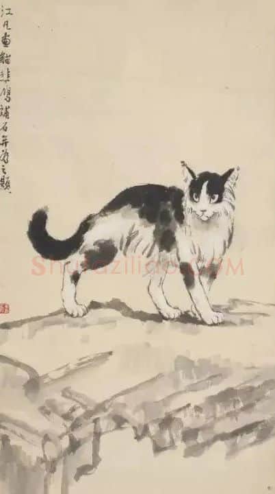 韦江凡·猫