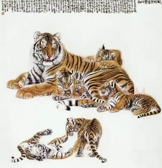 杜军·回眸于崽乐相融