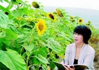 张亚玲·画像·照片