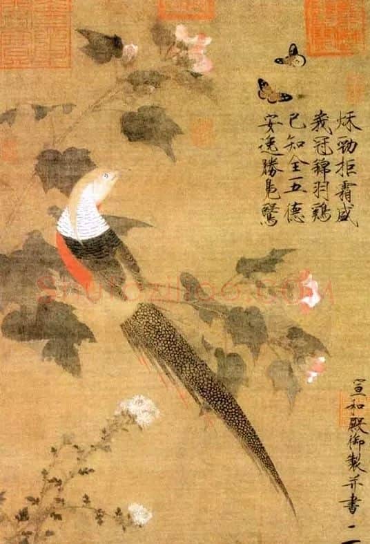 赵佶·芙蓉锦鸡图