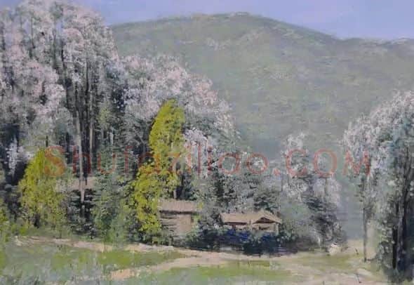 孔阳·泡桐树花开的季节