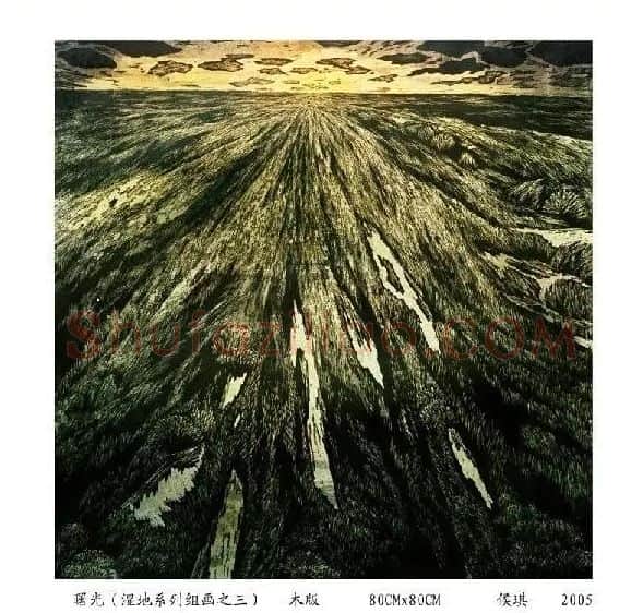 侯琪·作品