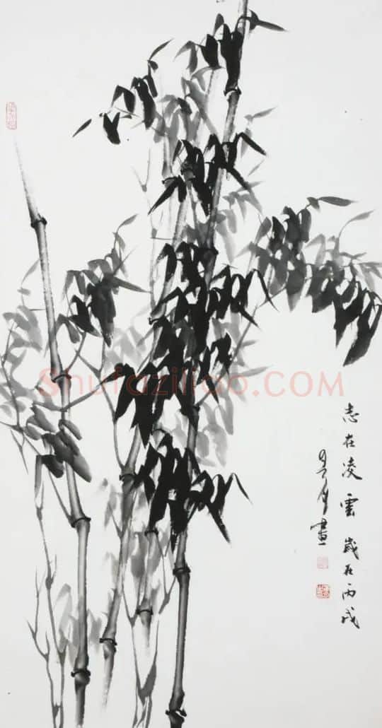 常春月·志在凌云