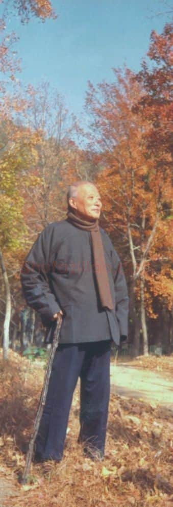 张辛稼·画像·照片