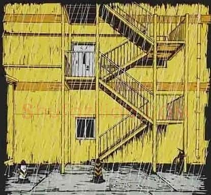 付斌·雨