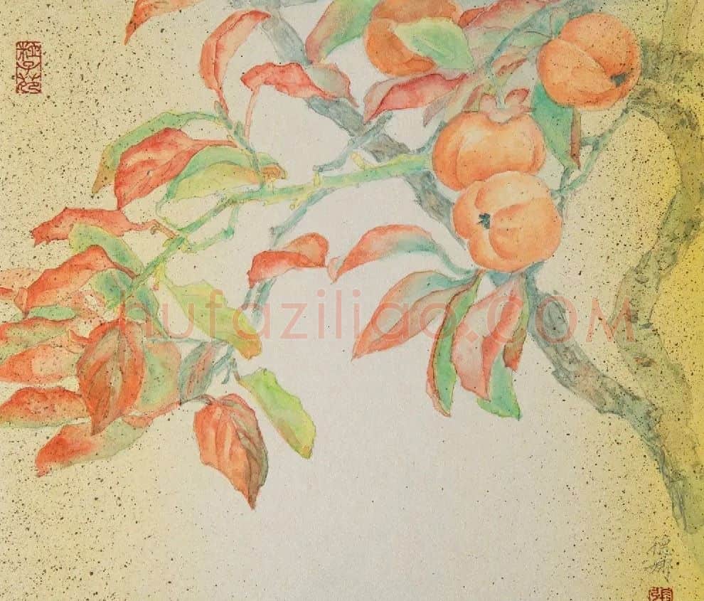 张德娜·秋硕