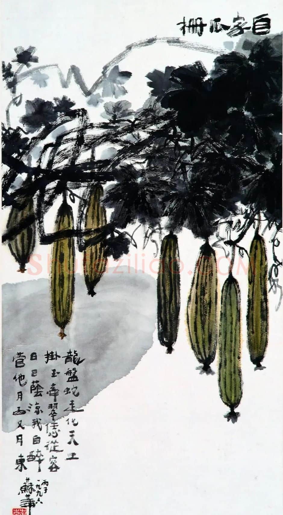 苏华·自家瓜棚