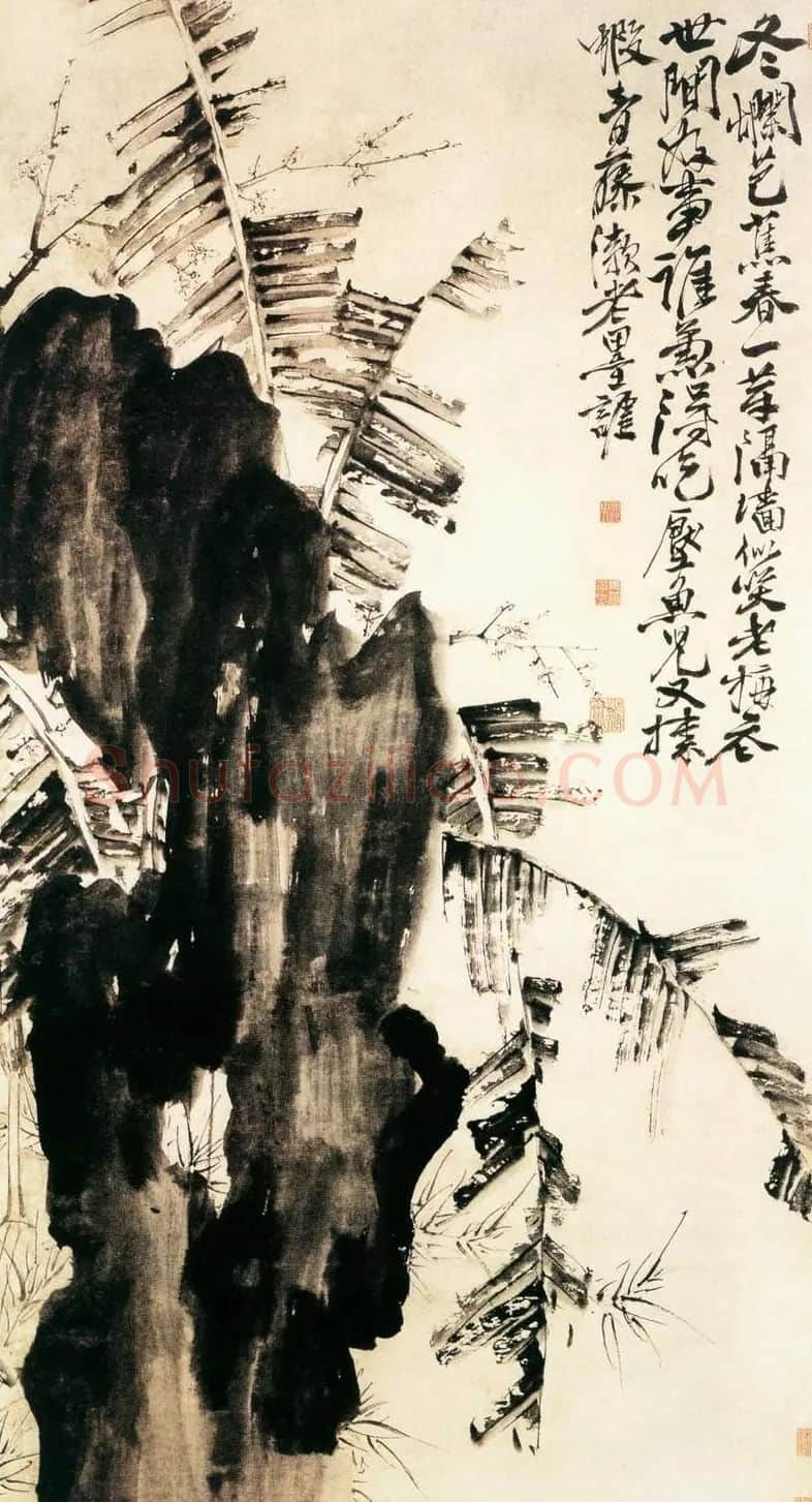 徐渭·蕉石图