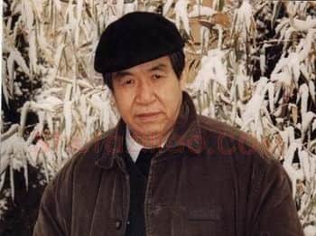 杨延文·画像·照片