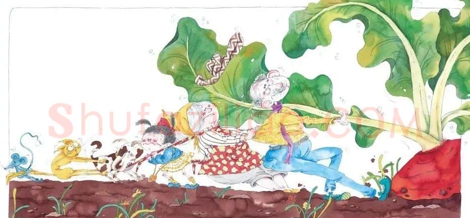 周尤·拔萝卜