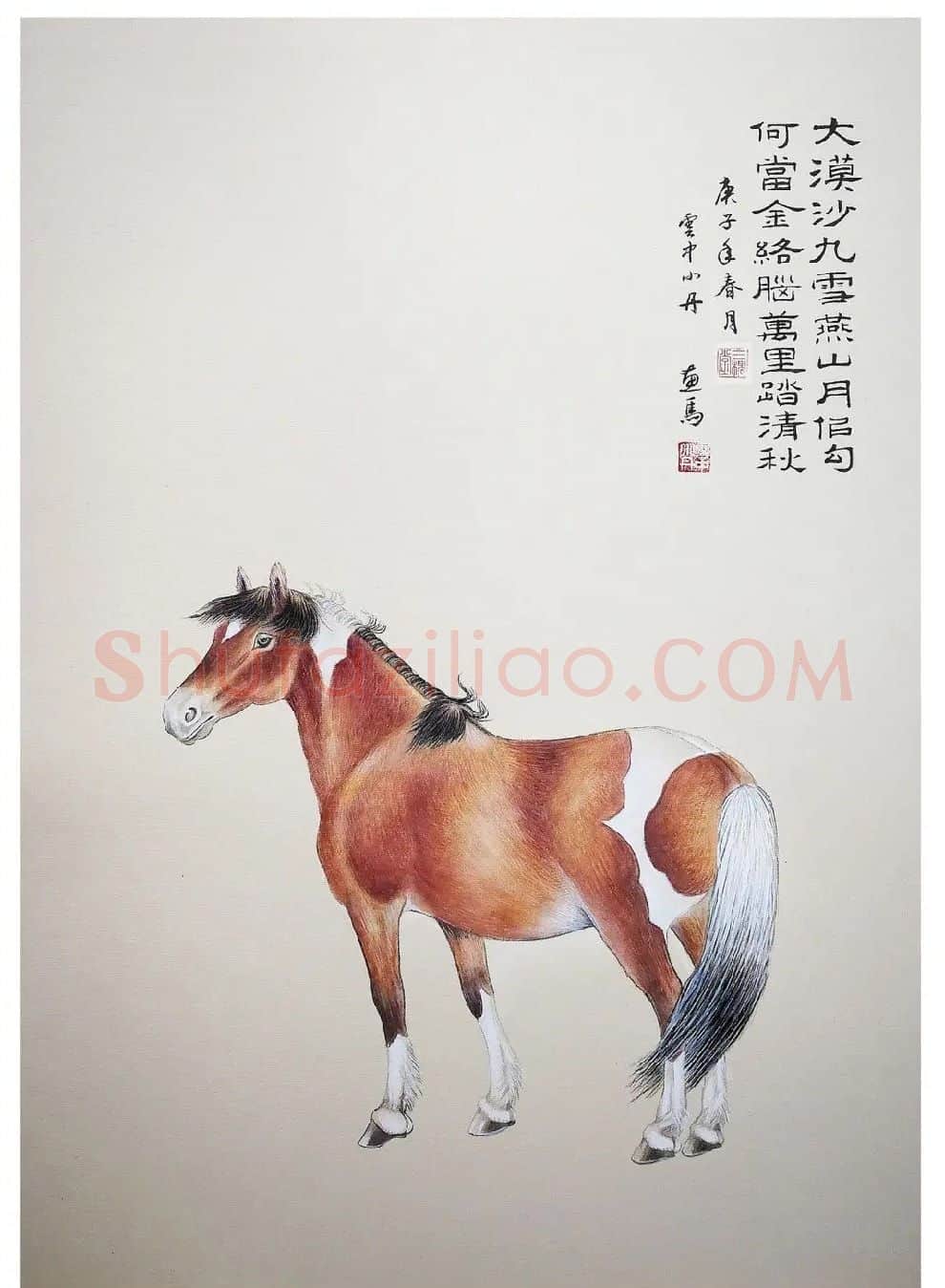 云中小丹·动物习作