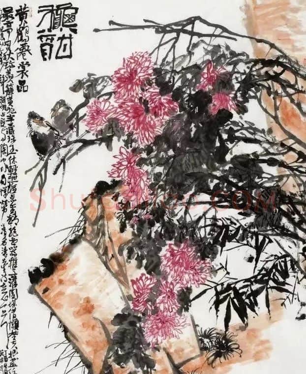 许苑琳·秋酣