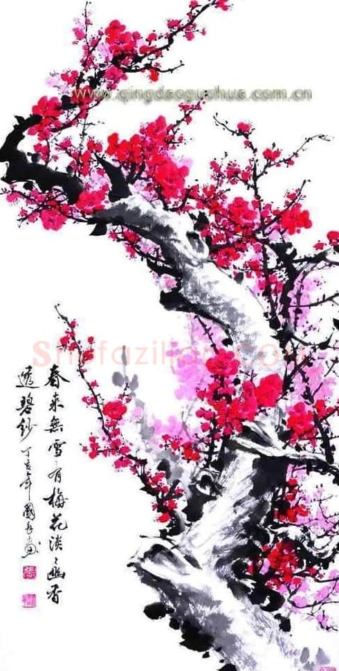 张国长·暗香浮动