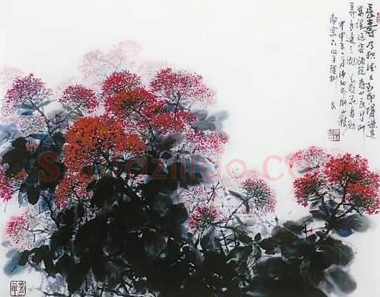 陈沛钰· 长寿花