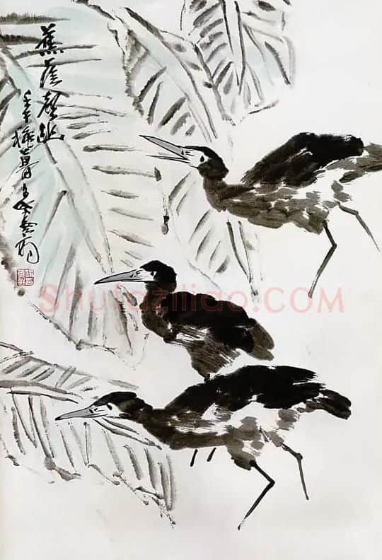 杨象宪·蕉荫声幽