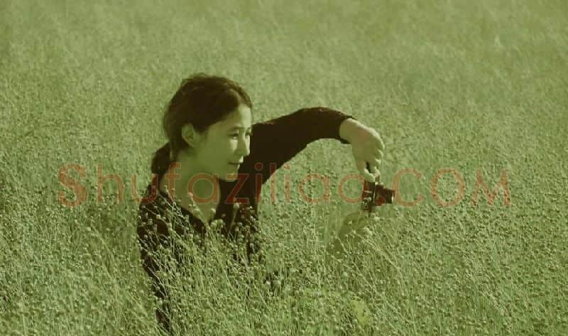 曹明凤·曹明凤