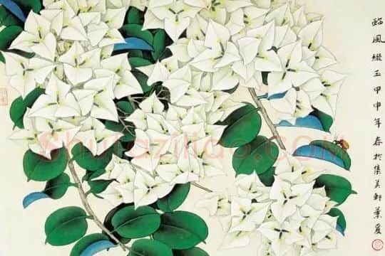叶丽美·花卉系列四